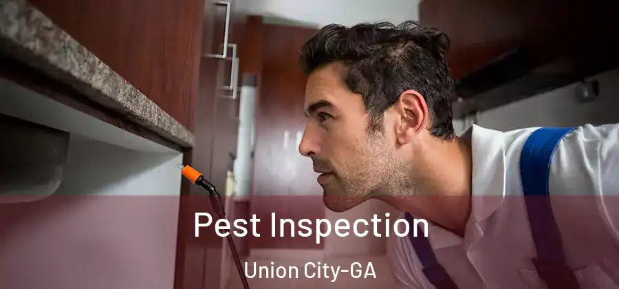  Pest Inspection Union City-GA