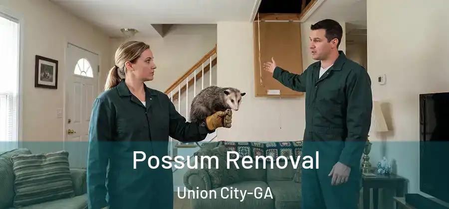 Possum Removal Union City-GA