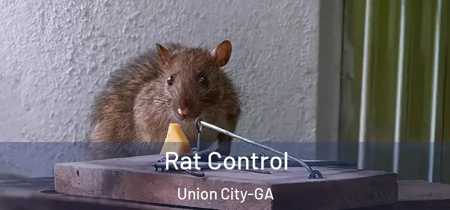 Rat Control Union City-GA
