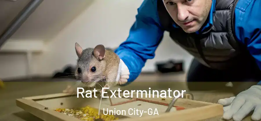 Rat Exterminator Union City-GA