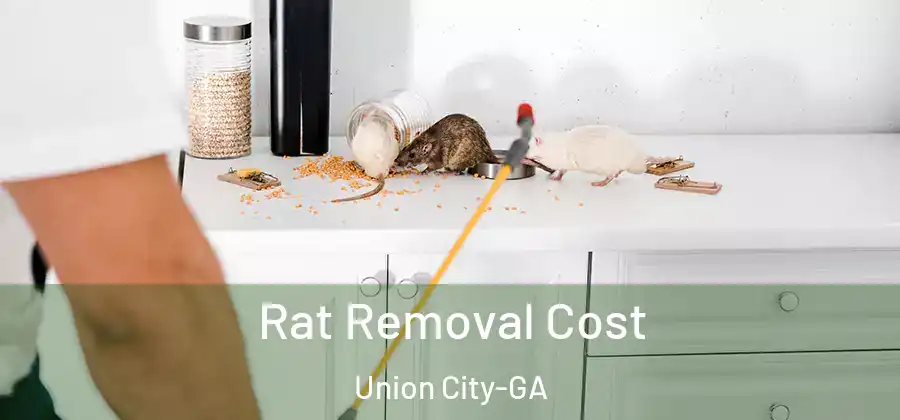 Rat Removal Cost Union City-GA
