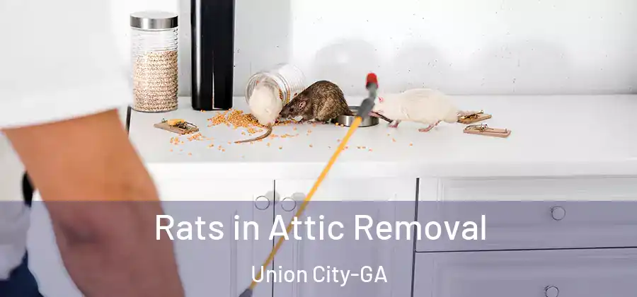  Rats in Attic Removal Union City-GA