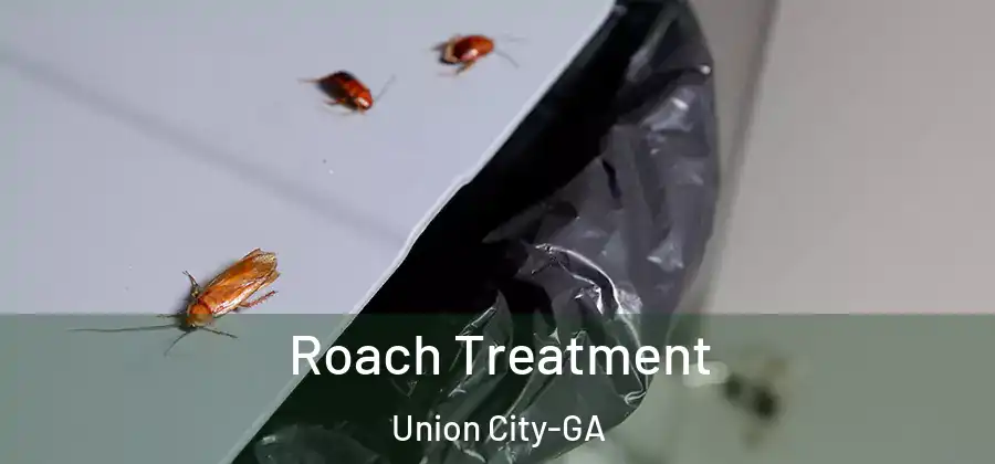 Roach Treatment Union City-GA