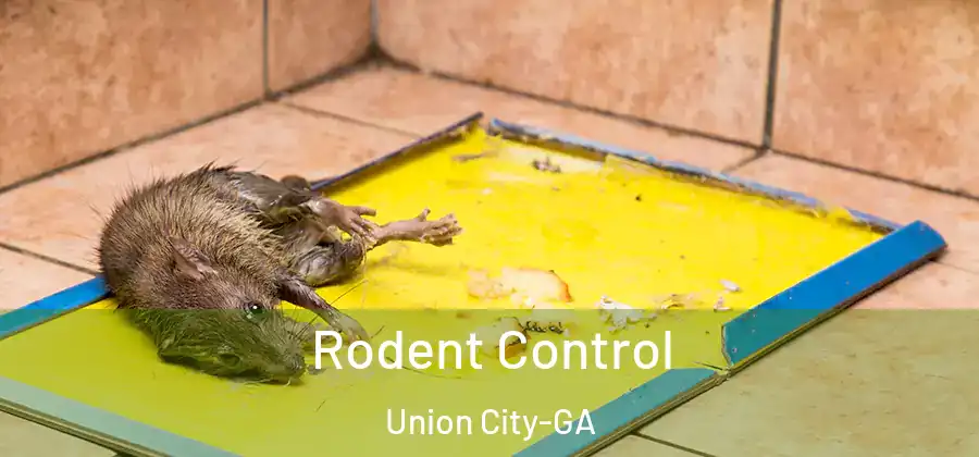 Rodent Control Union City-GA