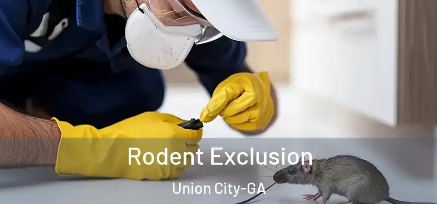 Rodent Exclusion Union City-GA