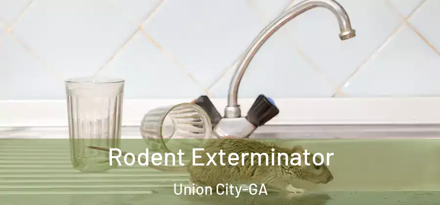 Rodent Exterminator Union City-GA