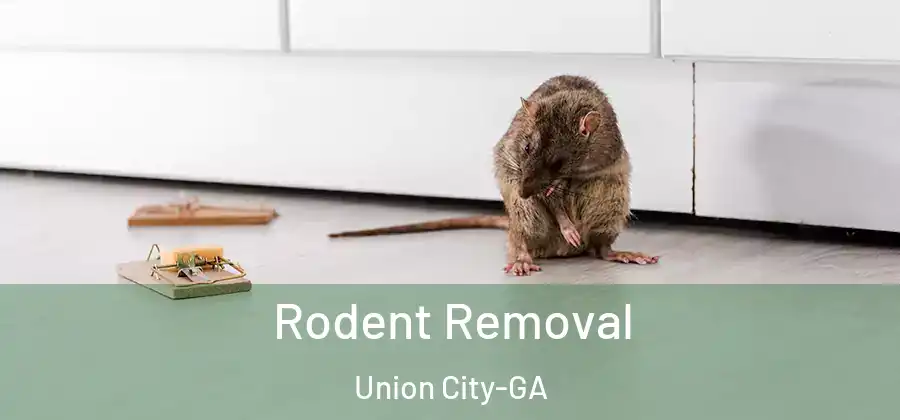 Rodent Removal Union City-GA