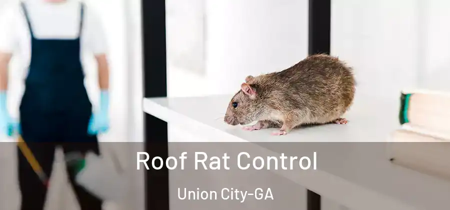  Roof Rat Control Union City-GA