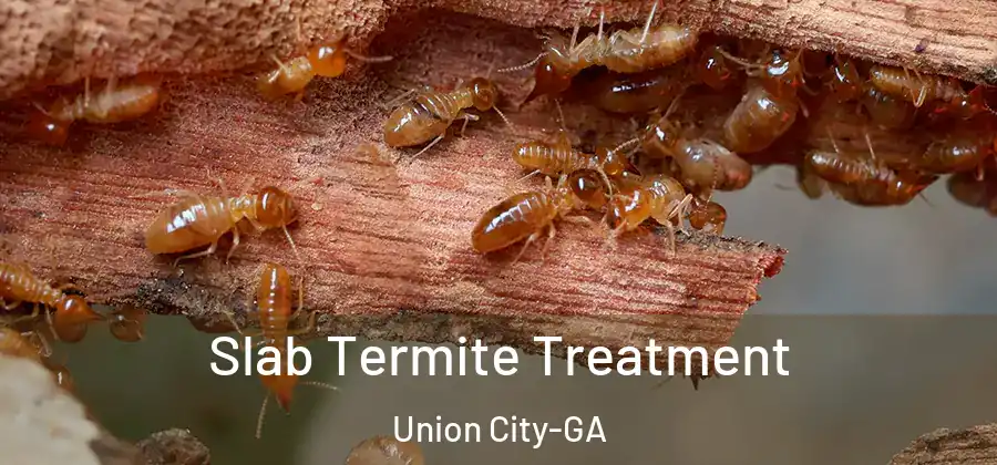 Slab Termite Treatment Union City-GA