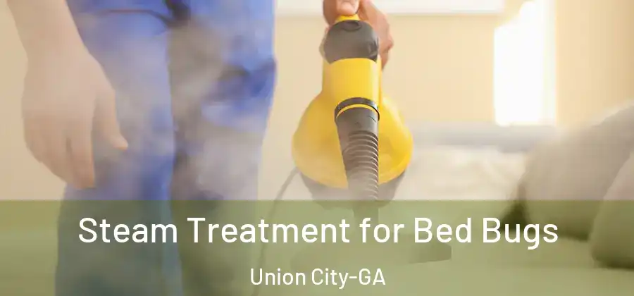 Steam Treatment for Bed Bugs Union City-GA