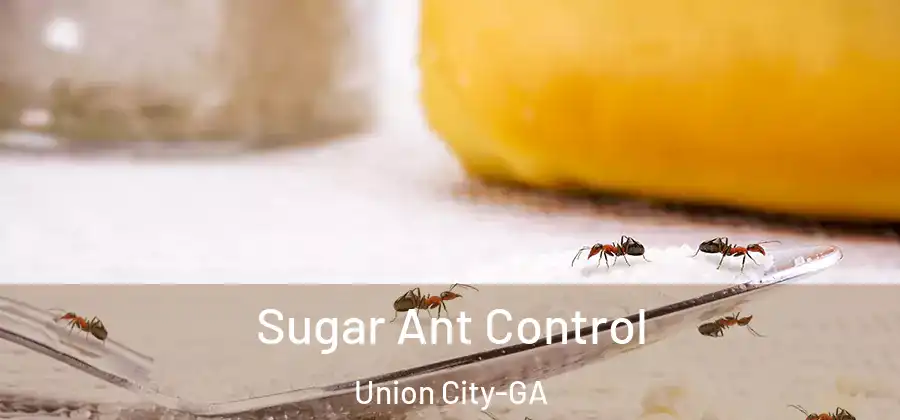 Sugar Ant Control Union City-GA