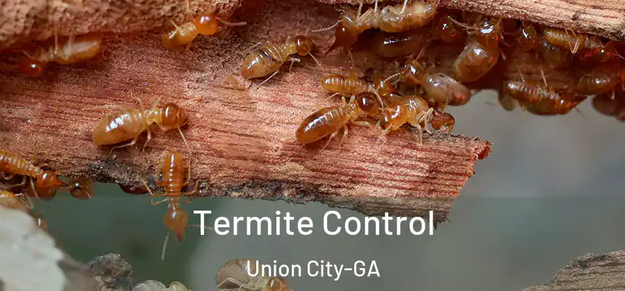 Termite Control Union City-GA