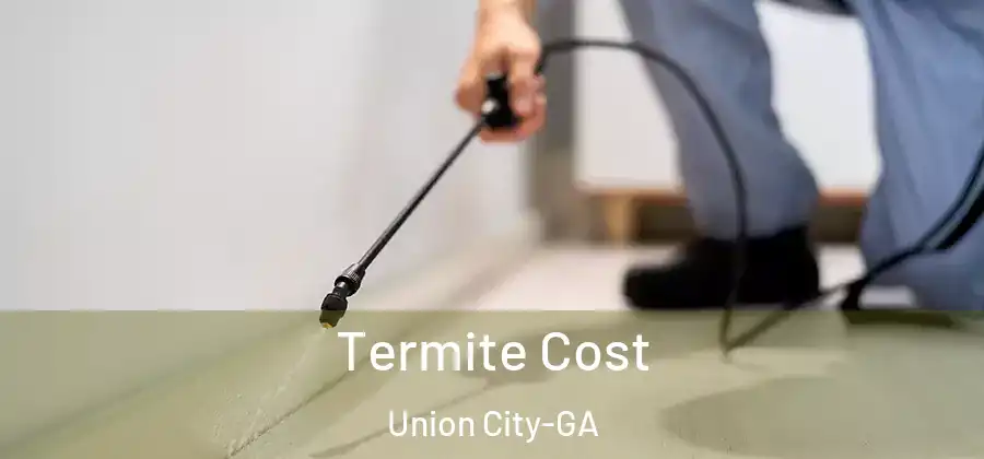 Termite Cost Union City-GA