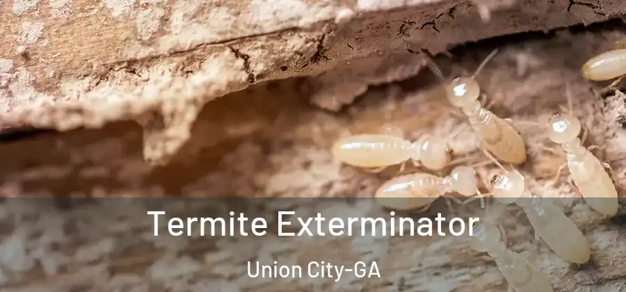Termite Exterminator Union City-GA