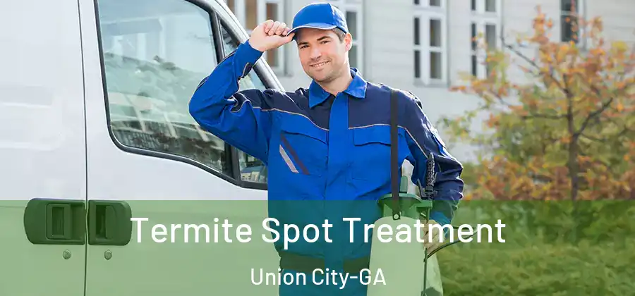 Termite Spot Treatment Union City-GA