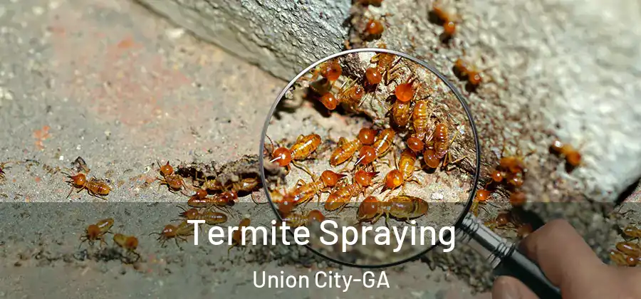 Termite Spraying Union City-GA