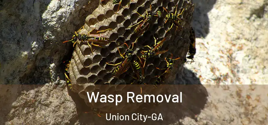 Wasp Removal Union City-GA