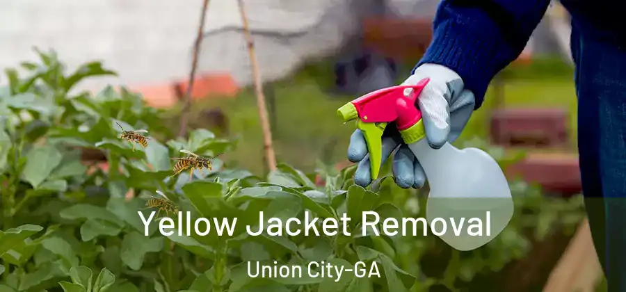 Yellow Jacket Removal Union City-GA